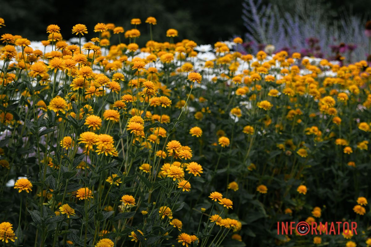 Фото: Олександр Звягінцев Фото: Олександр Звягінцев