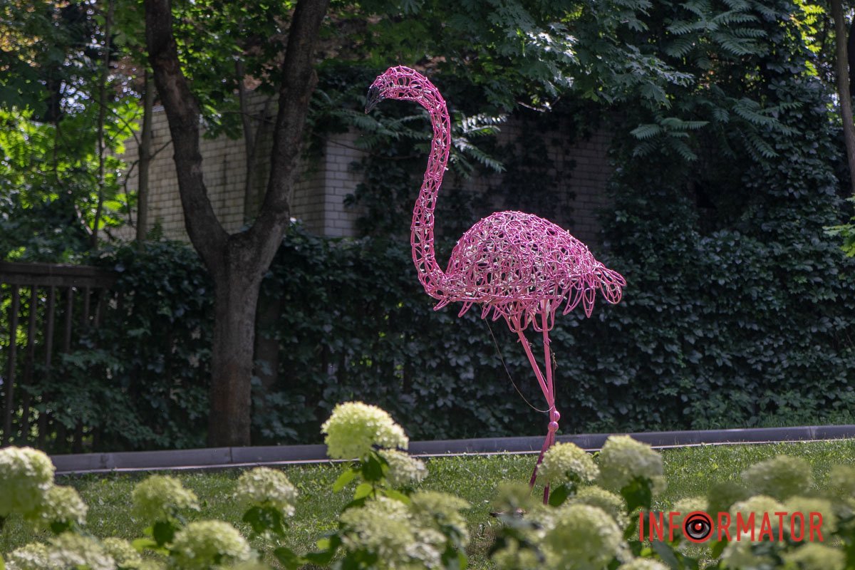 Фламінго Фламінго