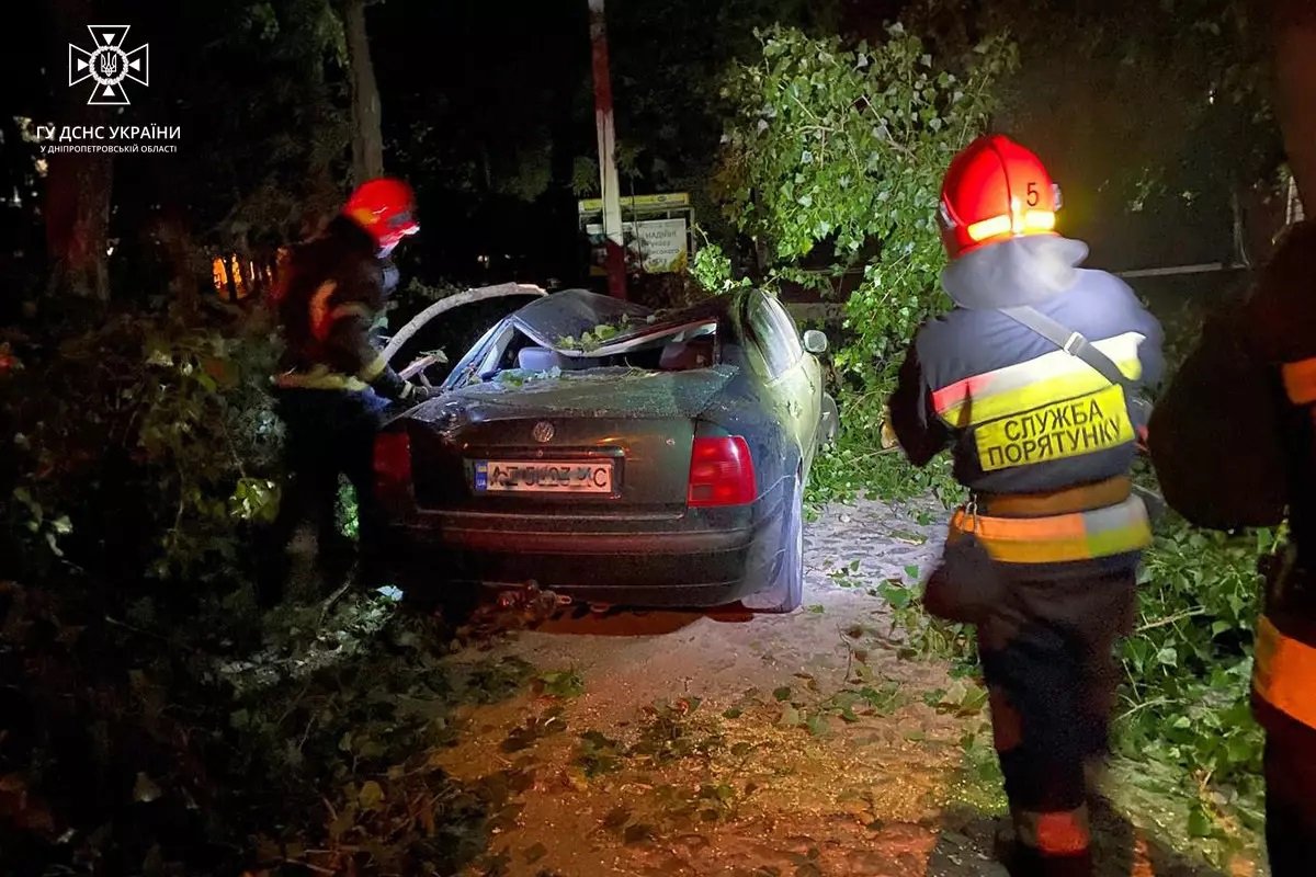 Дерево упало на автомобиль
