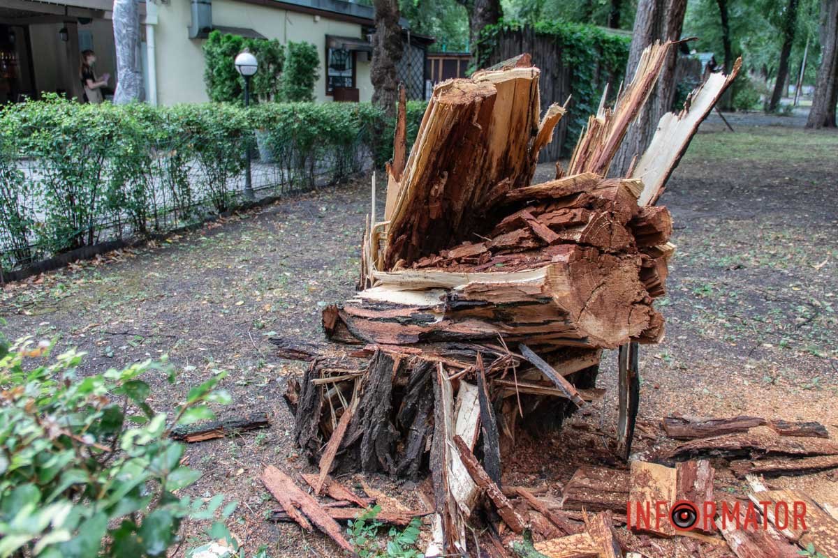 Що залишилилося від дерева