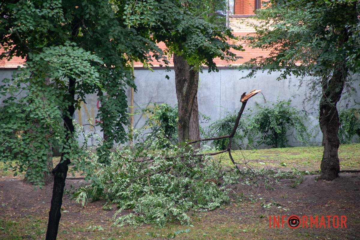 Комунальні служби прибирають територію