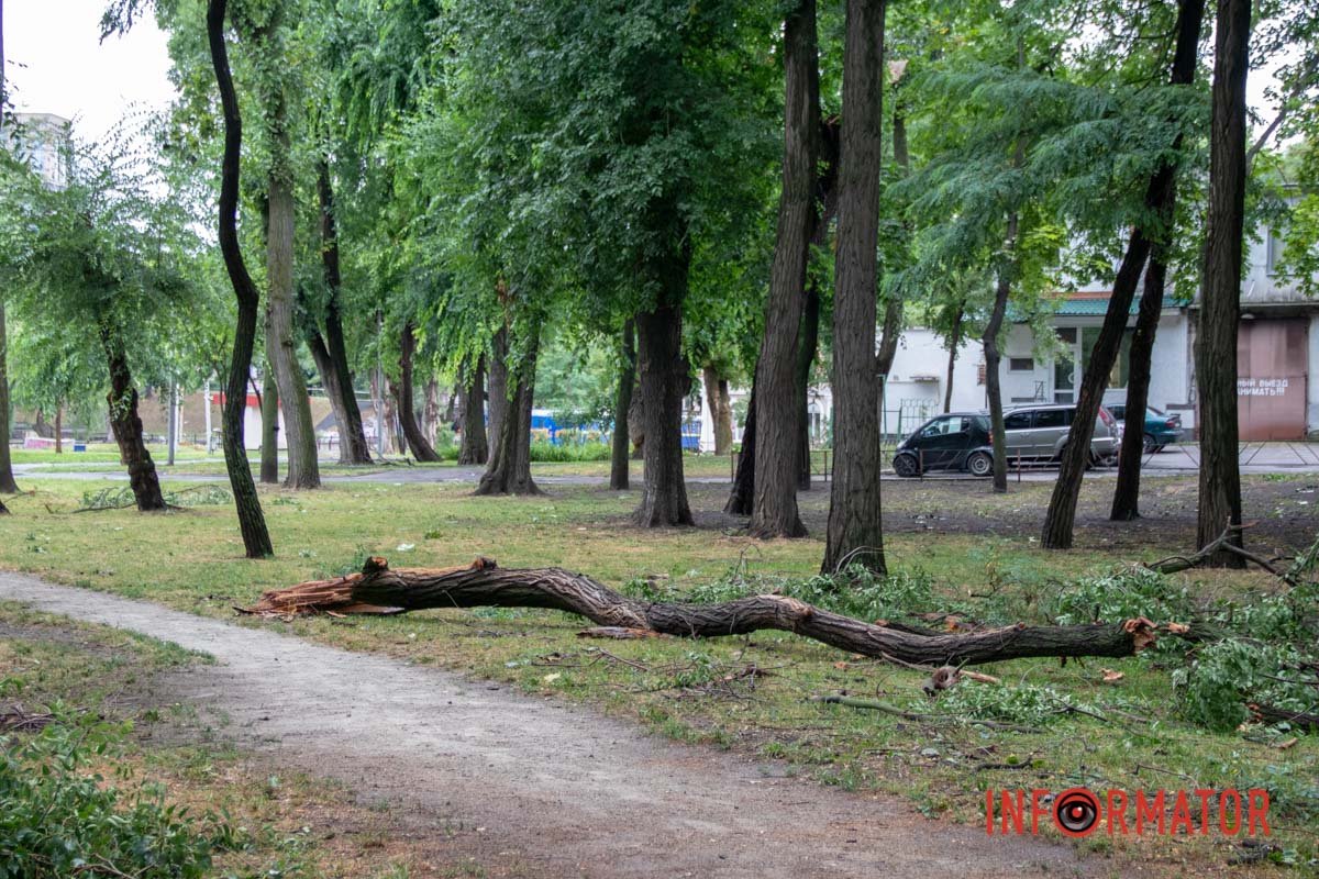 Природа показилася 