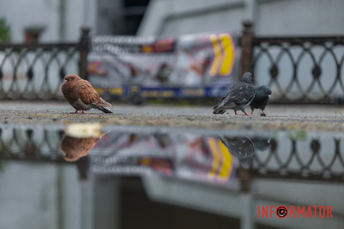 У Дніпрі цілий день тримається прохолодна та похмура погода
