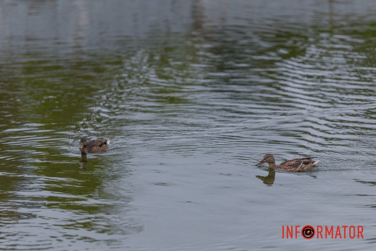 Чаруюче Дніпро