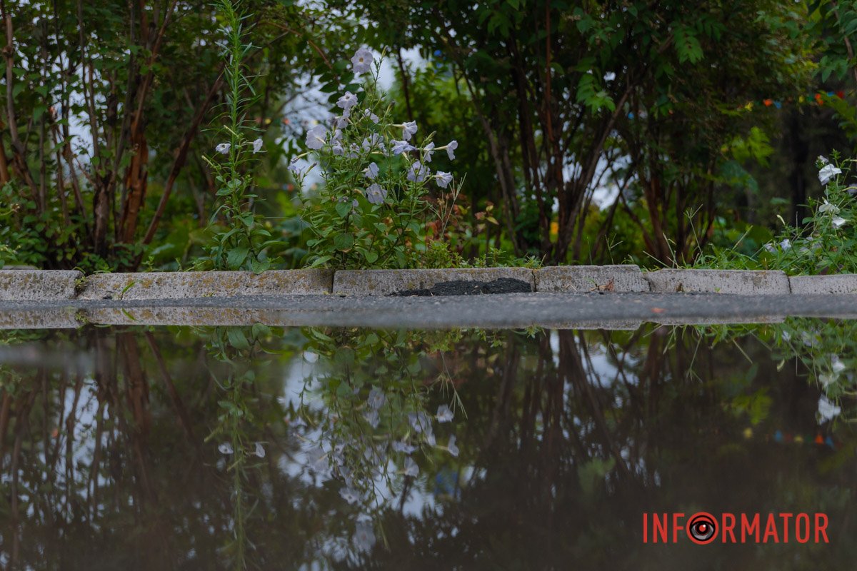 Відображення міста у воді