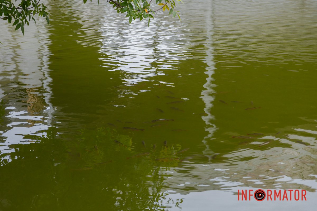 Дніпро особливий