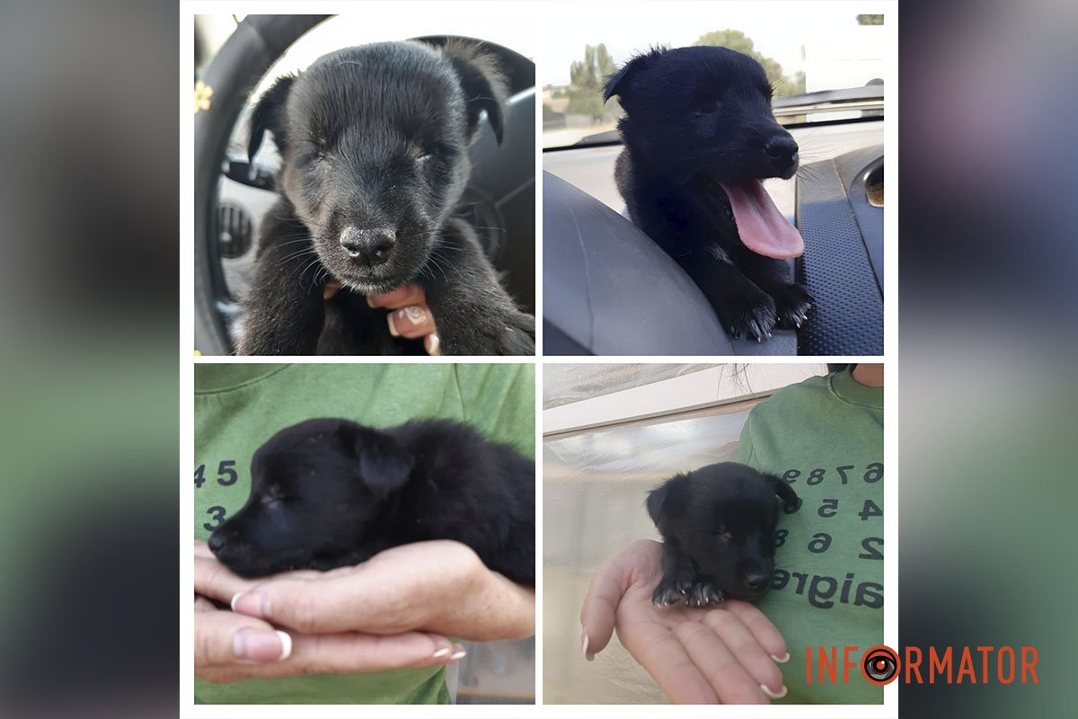 Маленька красуня