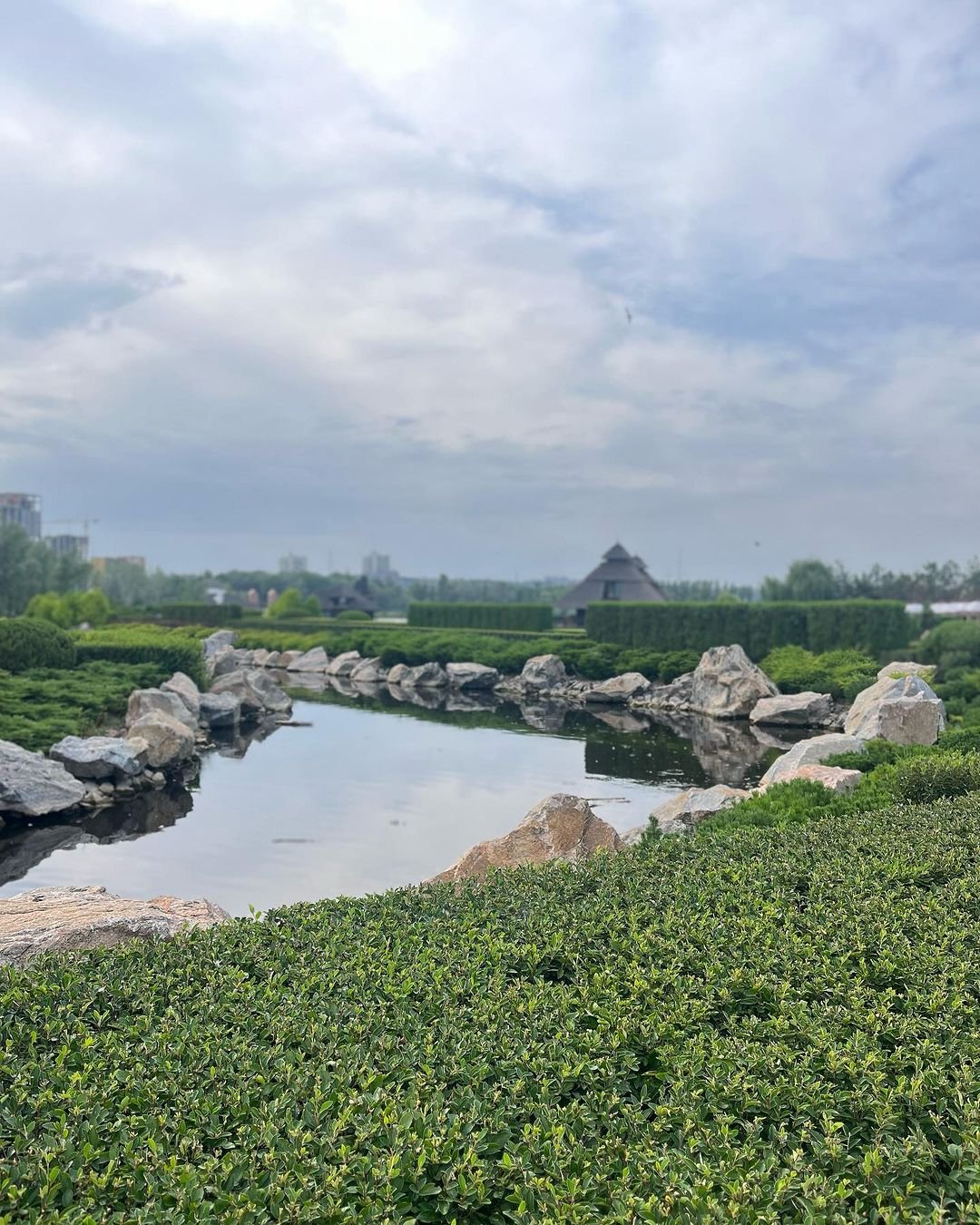 @demikhova1978 @demikhova1978