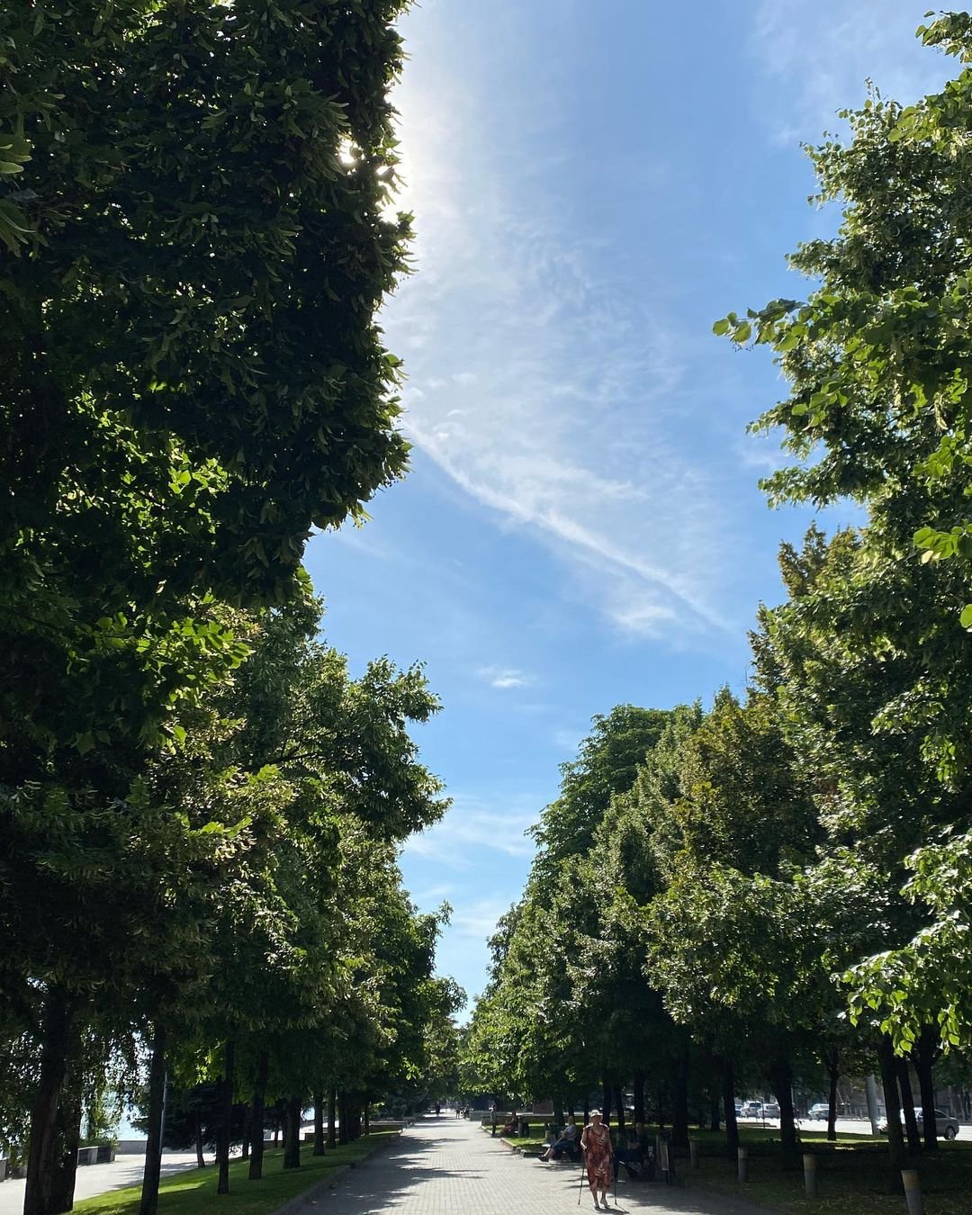 @anntretiakk @anntretiakk