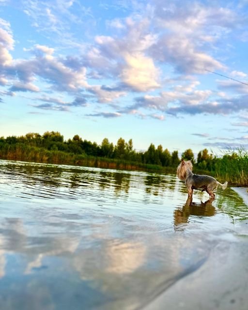 @vitaliyphoto_amauter_viking @vitaliyphoto_amauter_viking