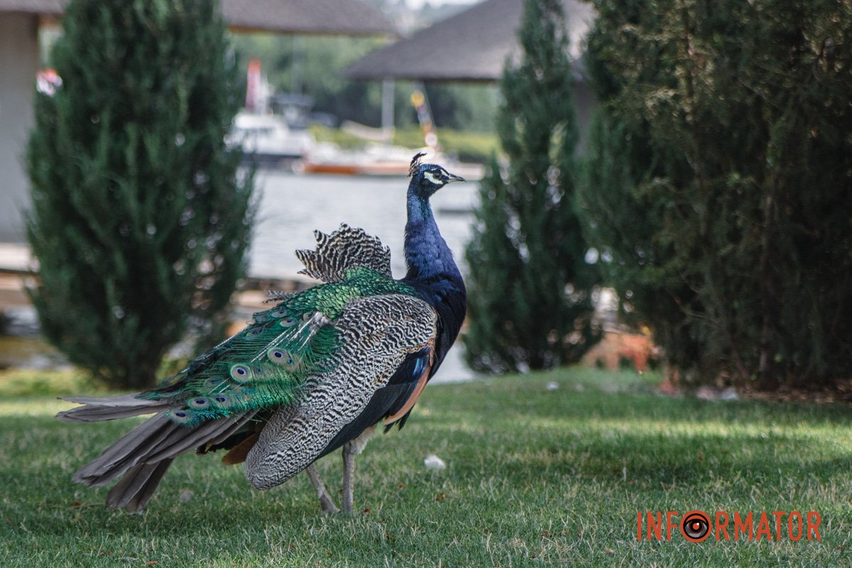 Ви знаєте, в кого найкращі кадри Ви знаєте, в кого найкращі кадри