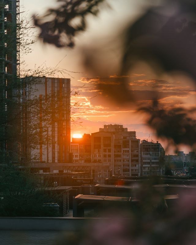 Вірних друзів 