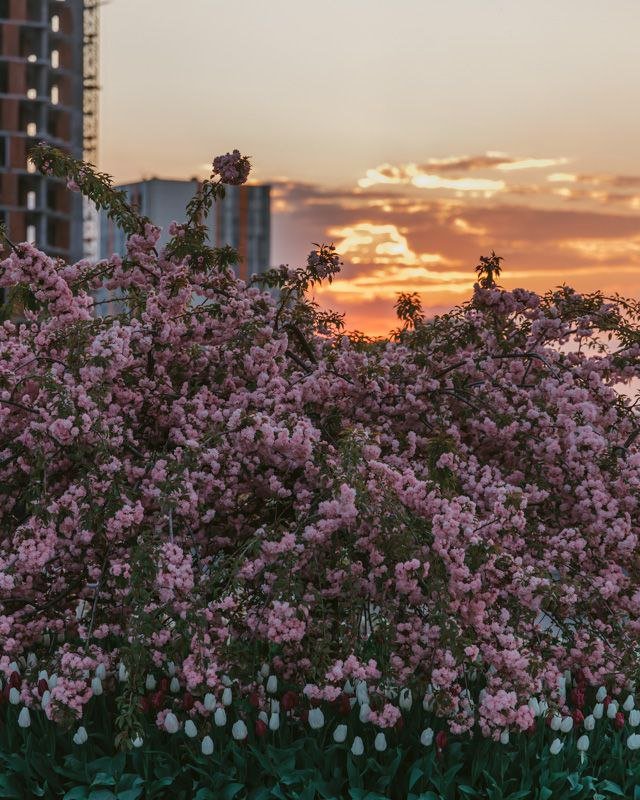 Відпочинку на природі 