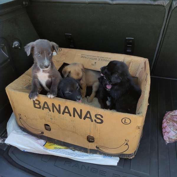 "А ми до вас" "А ми до вас"