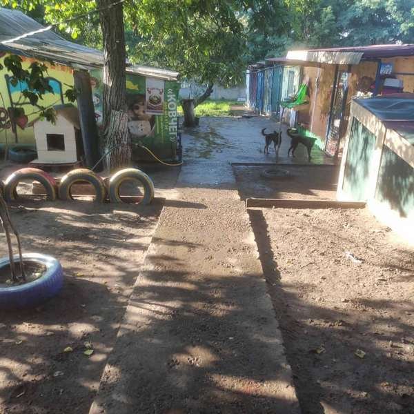 Центр порятунку для хвостиків Центр порятунку для хвостиків