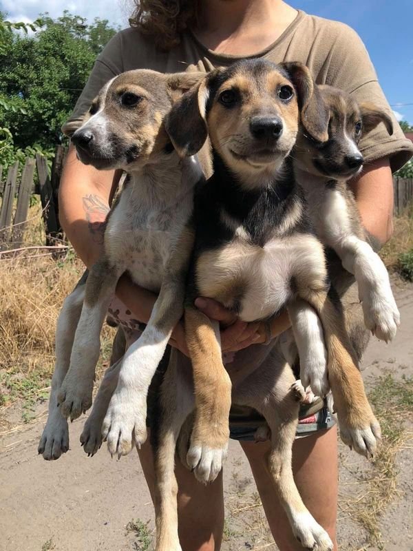 Приїжджай. Обирай. Товаришуй Приїжджай. Обирай. Товаришуй