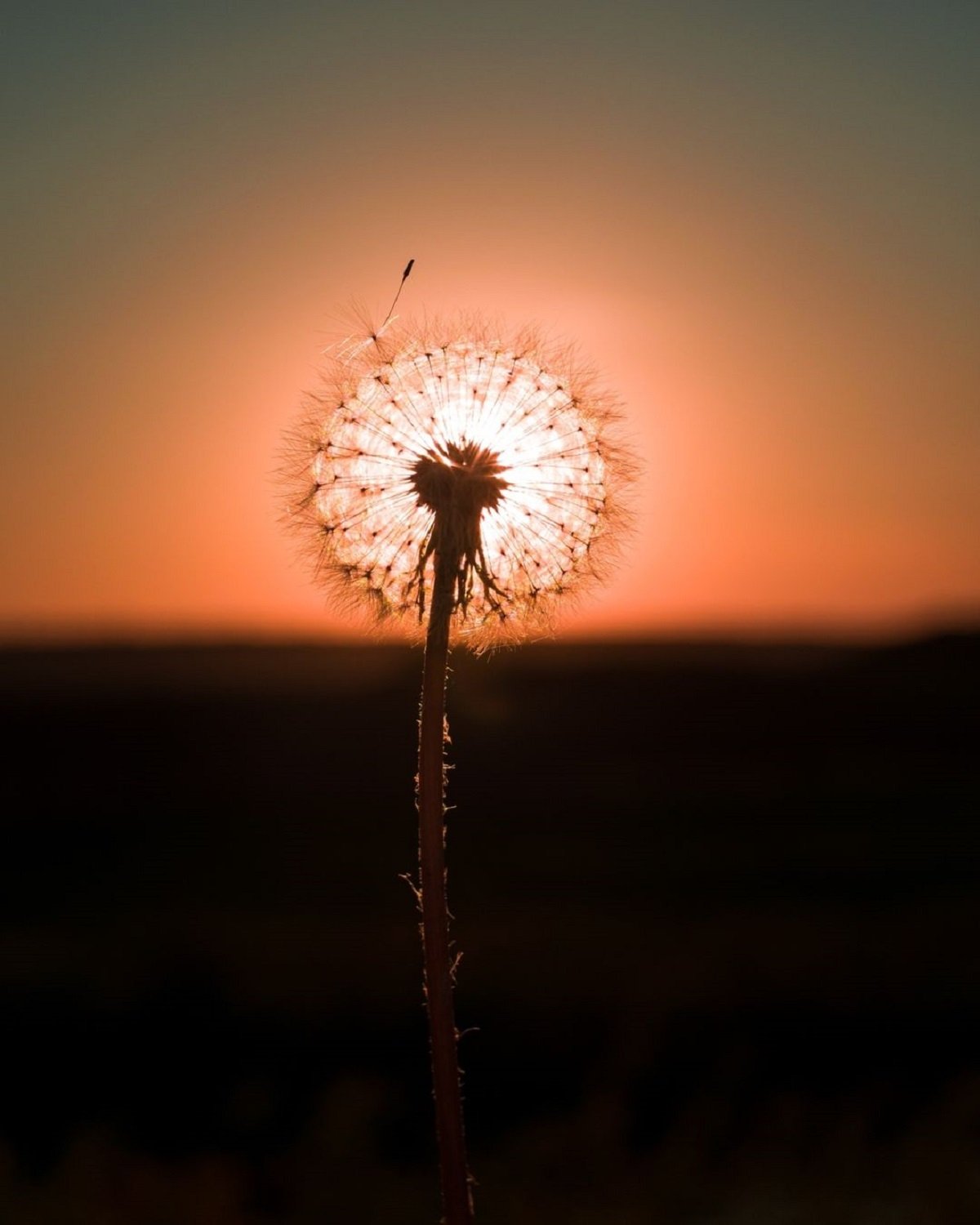 Фото: @vlad_p_an_ph