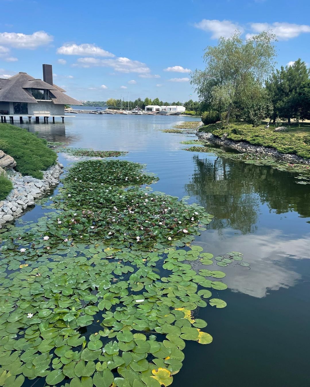 @shu.mi.ka @shu.mi.ka