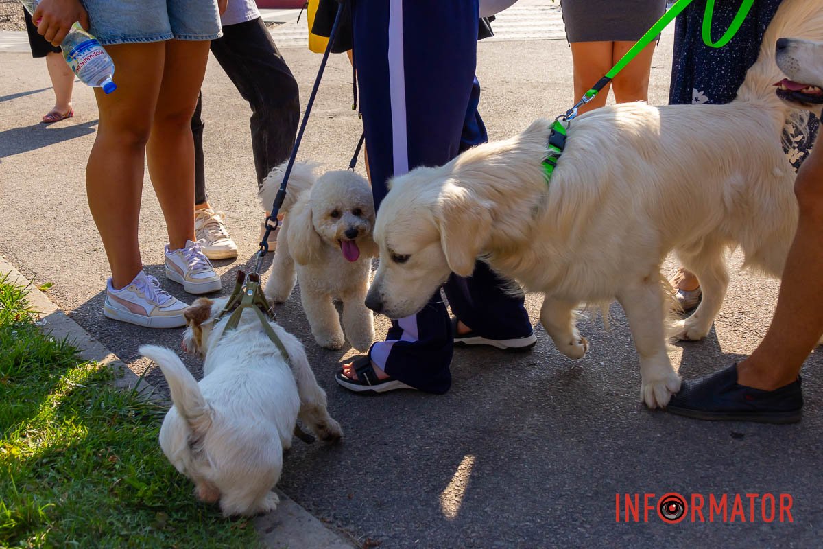 Знакомятся Знакомятся