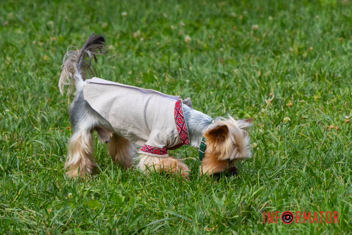 Нарядный Нарядный