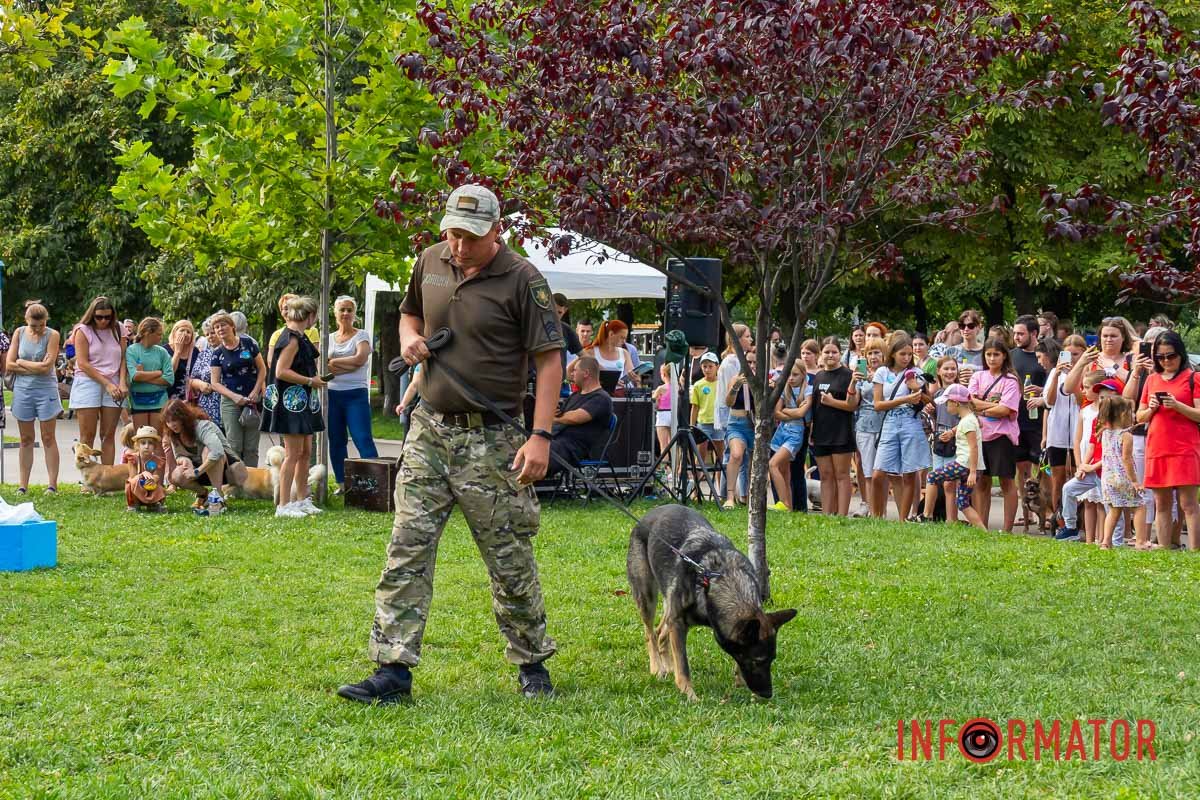 Также выступали и служебные собаки Также выступали и служебные собаки