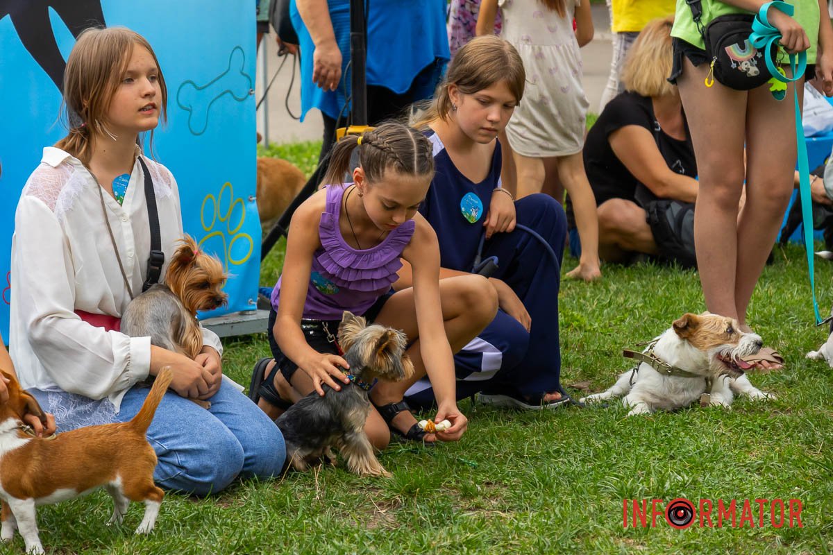 Со своими любимцами пришли и дети, занимающиеся в кинологическом кружке Со своими любимцами пришли и дети, которые занимаются в кинологическом кружке