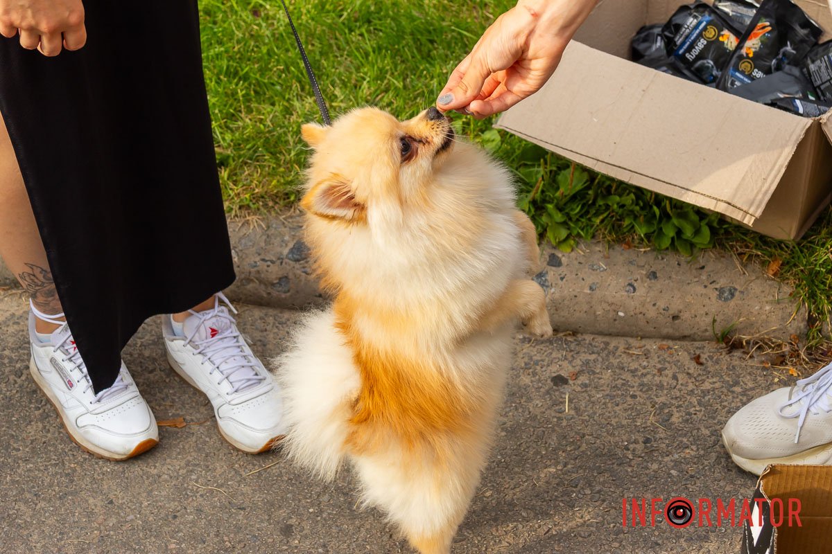 Перекус Перекус