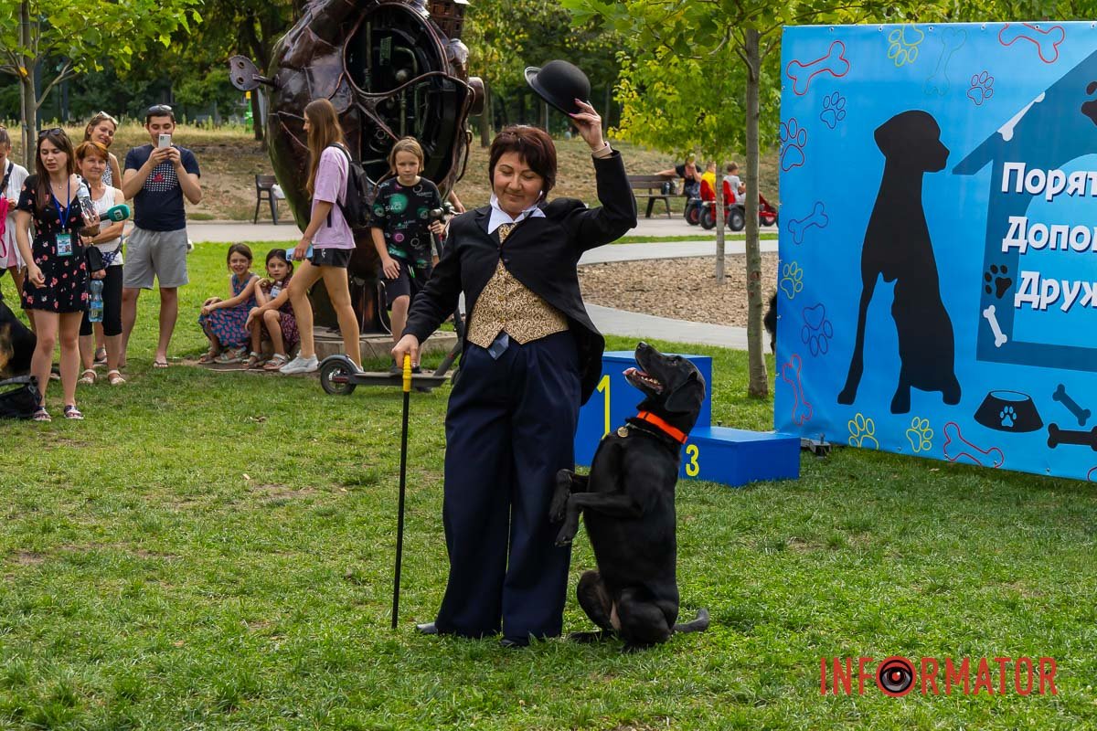 Положительные эмоции Позитивные эмоции