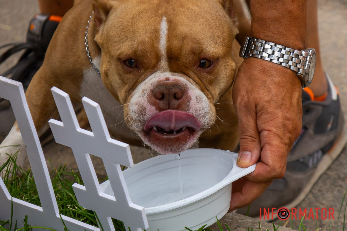 Слушайся своей жажды Слушайся своей жажды