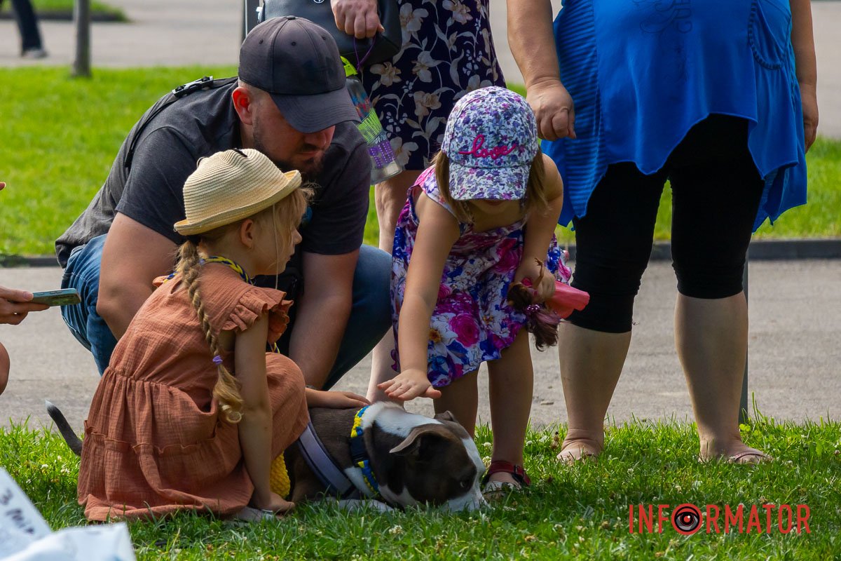 Малыши от собак не отходили Малыши от собак не отходили