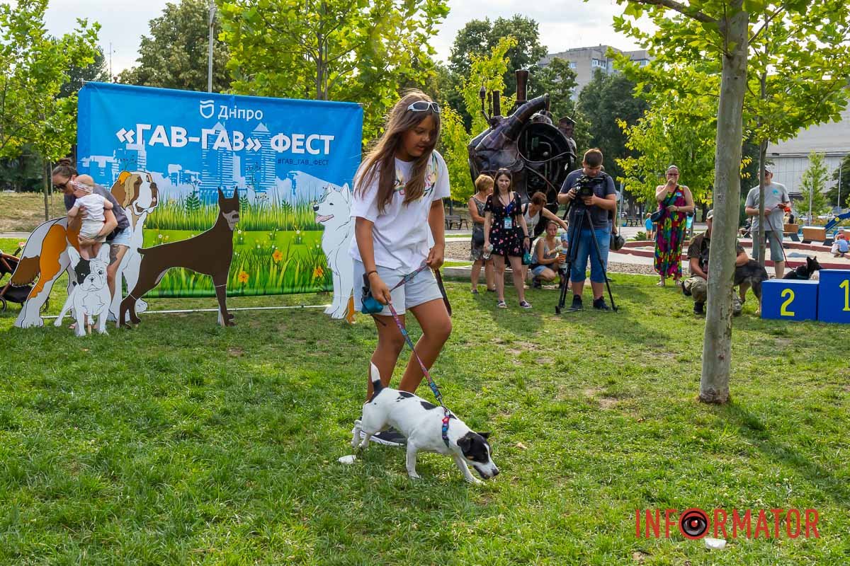 Четырехлапые друзья Четырехлапые друзья
