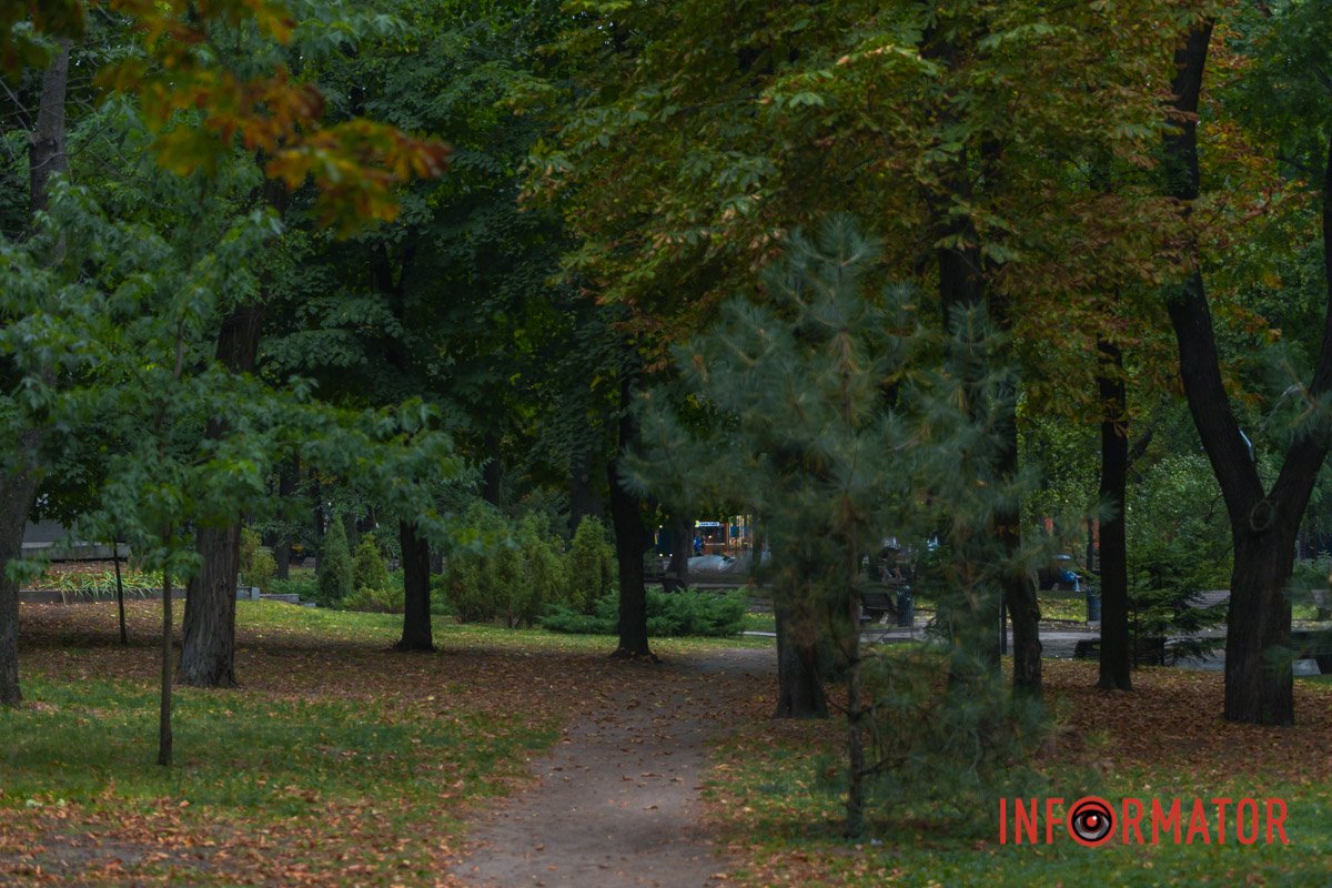 Дерева ще зелені