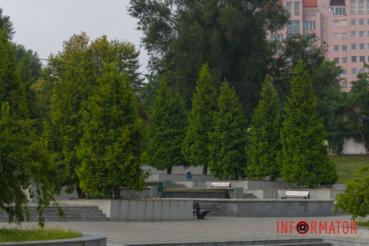 Зелений острівець