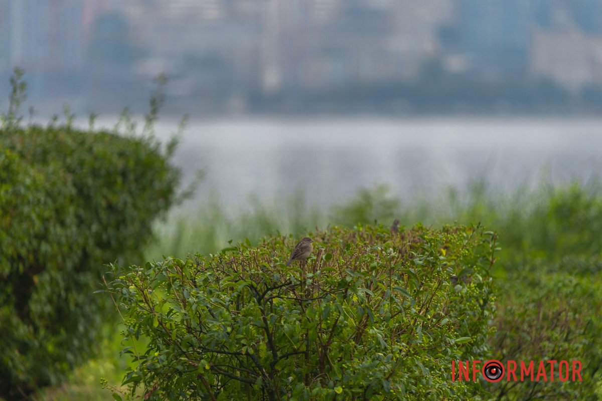 Осінь – це мальовнича пора року