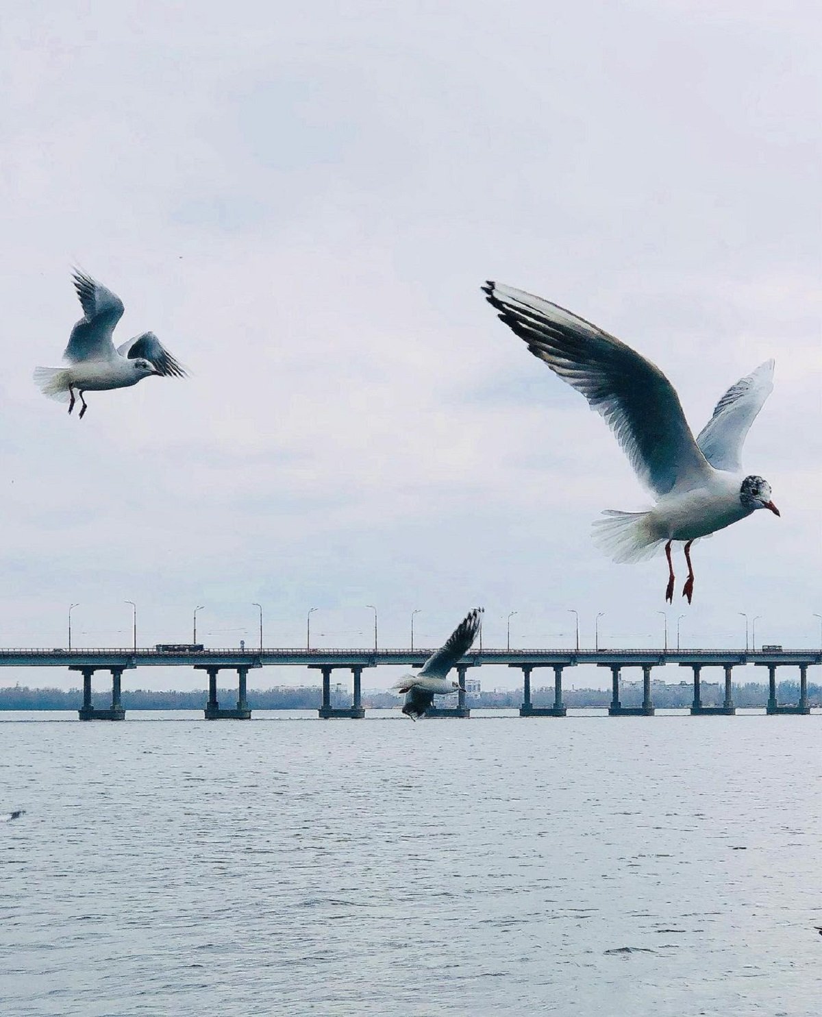 Фото: @lekastulchik Фото: @lekastulchik