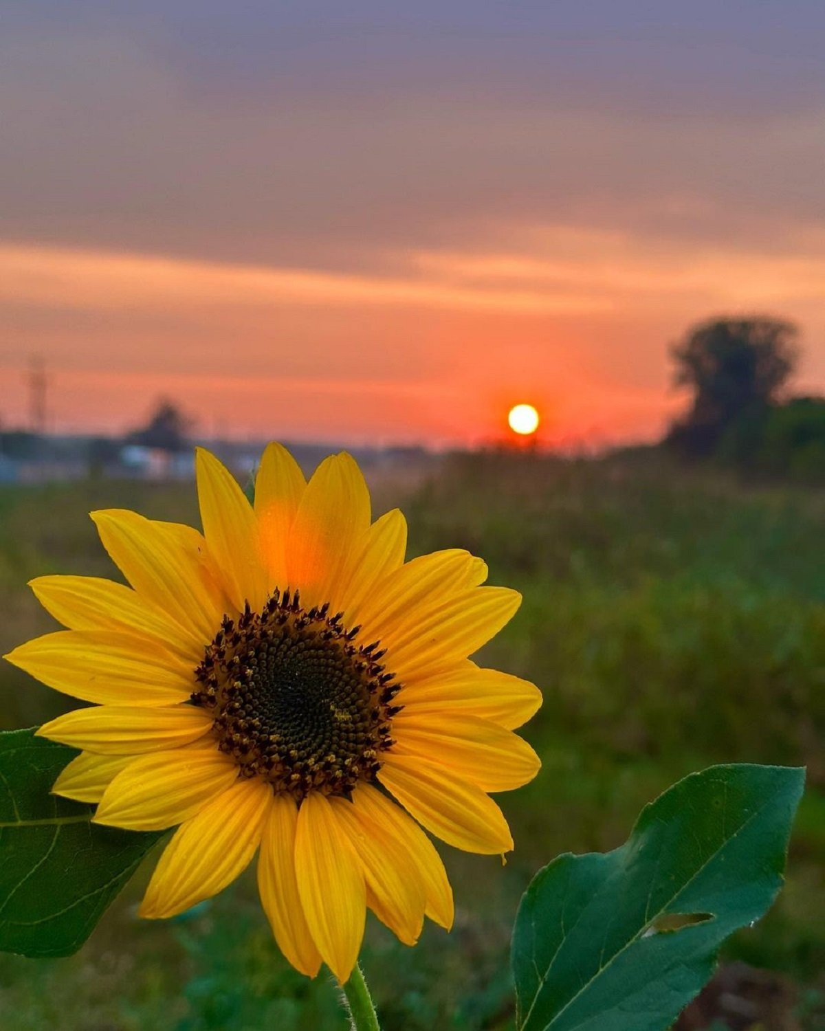 Фото: @nemchenko_catherine Фото: @nemchenko_catherine