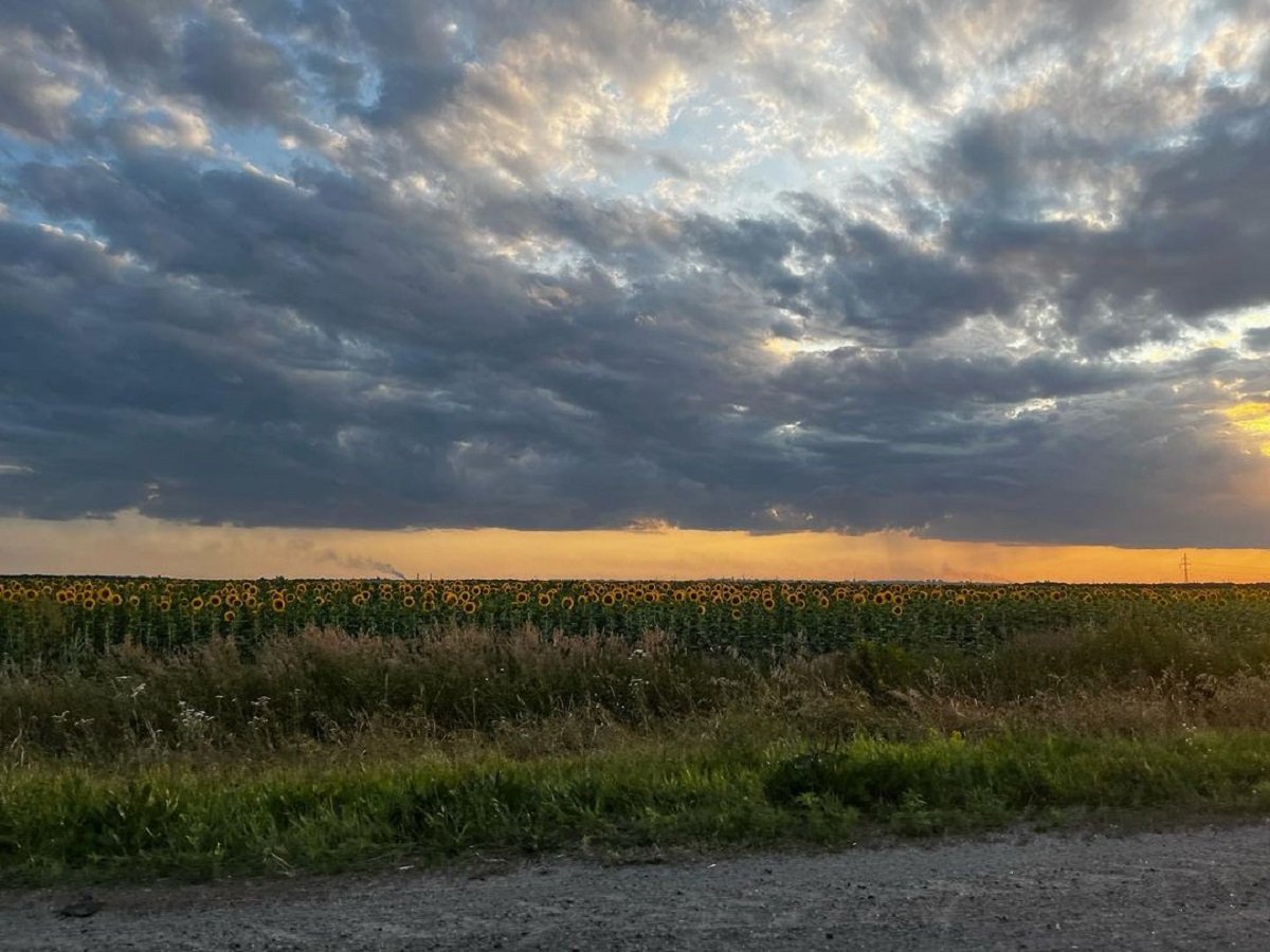 Фото: @yakubovsky_pt Фото: @yakubovsky_pt