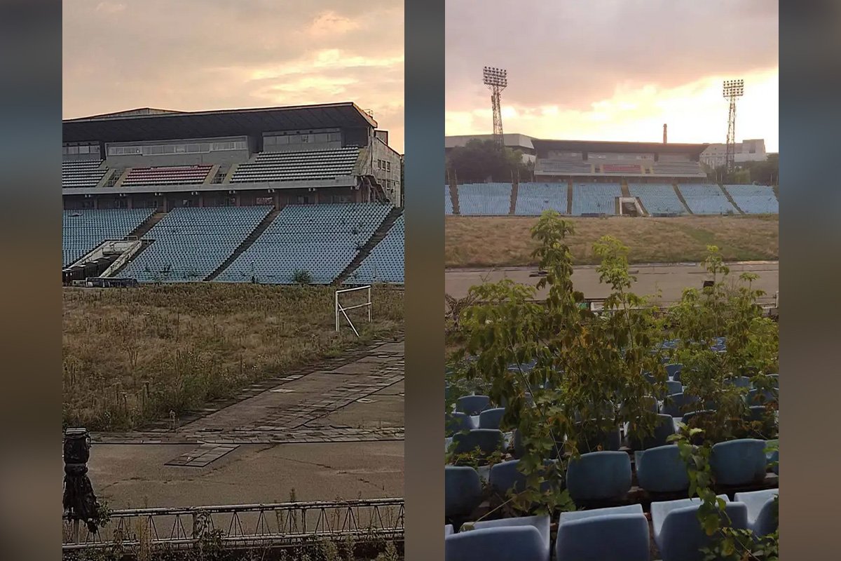 Ростуть дерева на трибунах 