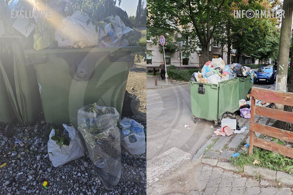 Там ситуация с вывозом мусора - катастрофическая Там ситуация с вывозом мусора - катастрофическая