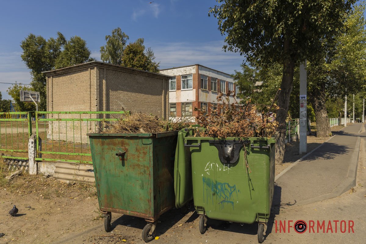 А здесь ветки А здесь ветви