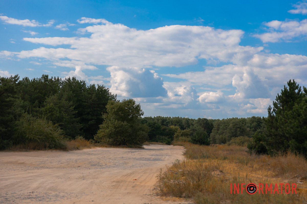 Земля, і сонце, і грушки.