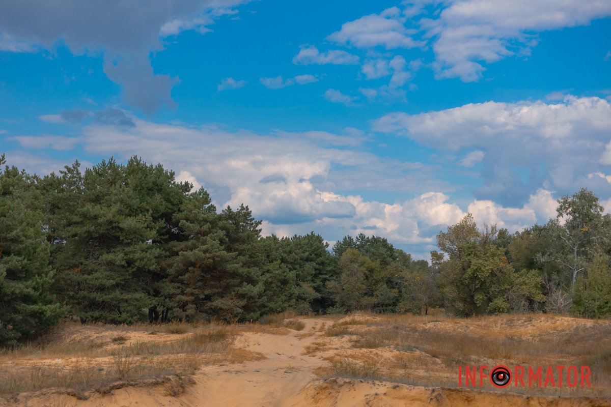 І пахнуть медом доокола