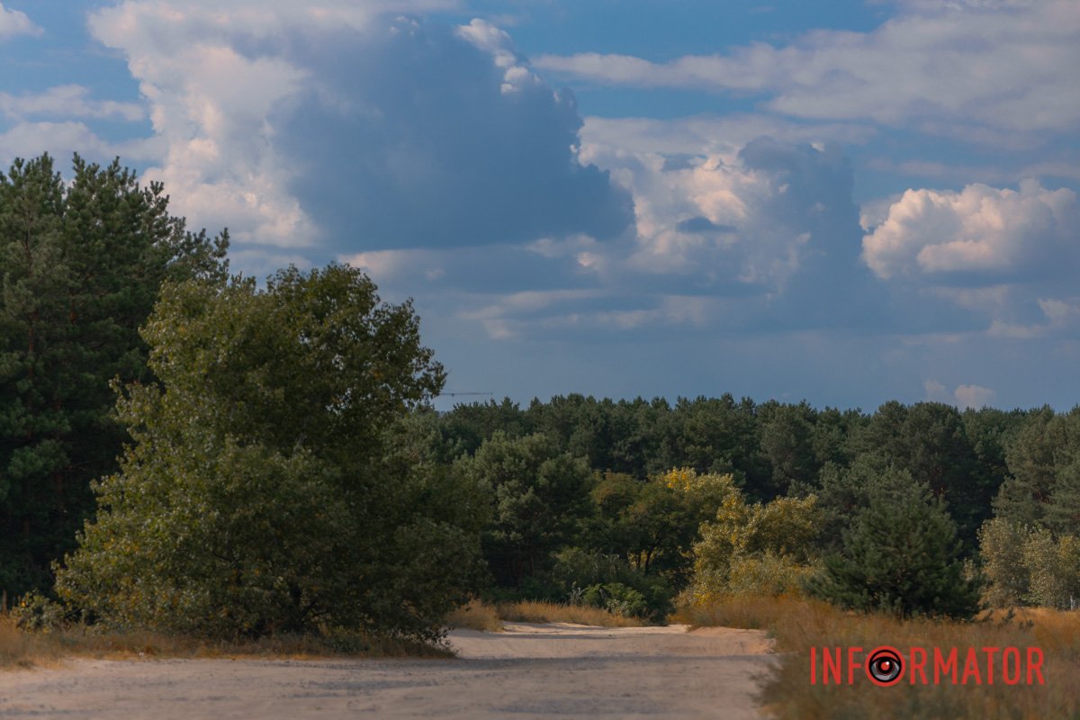 На вуха шапку гриб натяг.