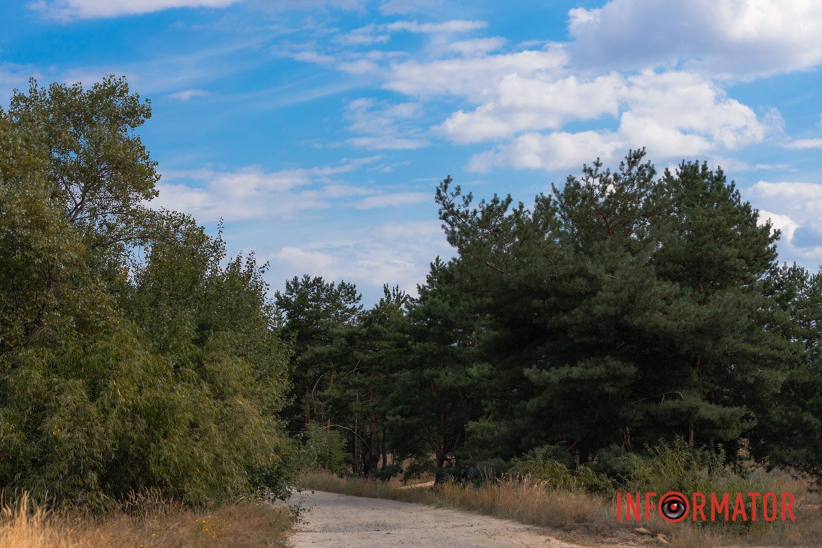 Птахи, на крила взявши осінь,
