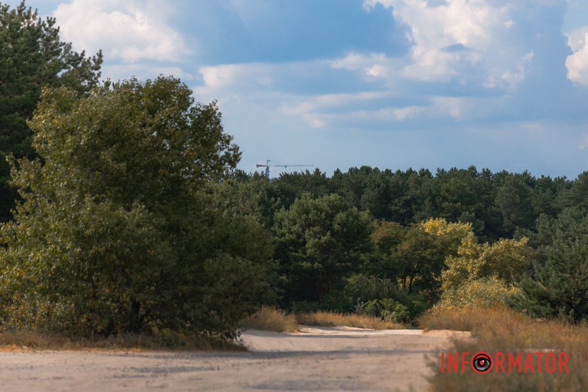 Курличуть журно в небесах.