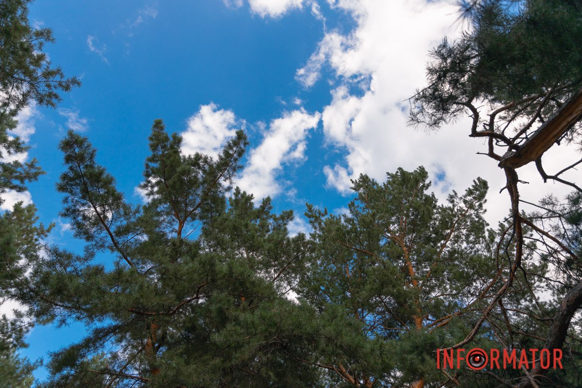 А листя просить: – Дай нам тої втіхи!