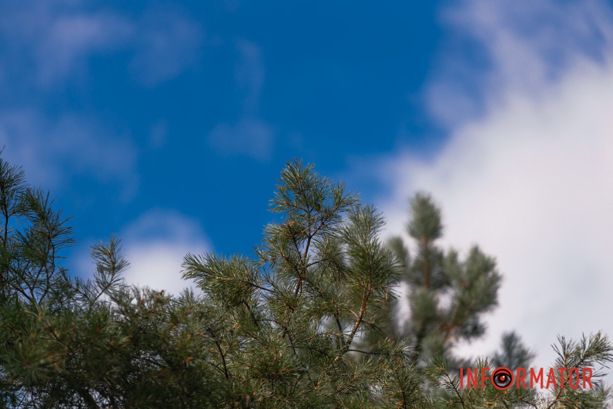 Сади прекрасні, роси – як вино.