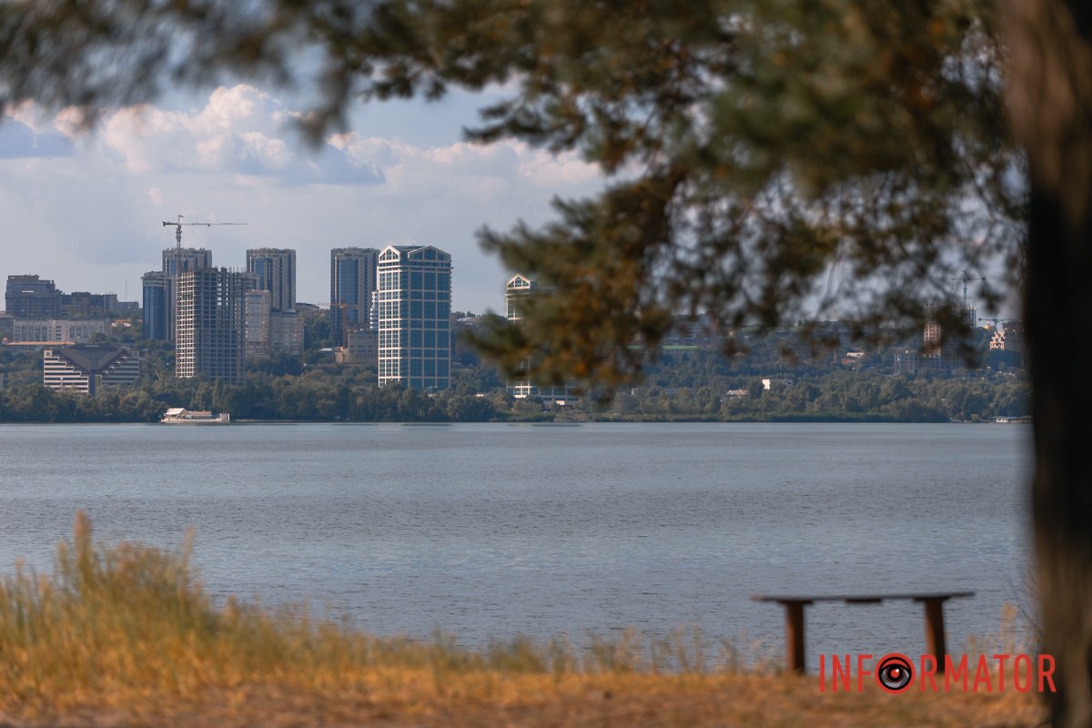 Ворони п'ють надкльовані горіхи.