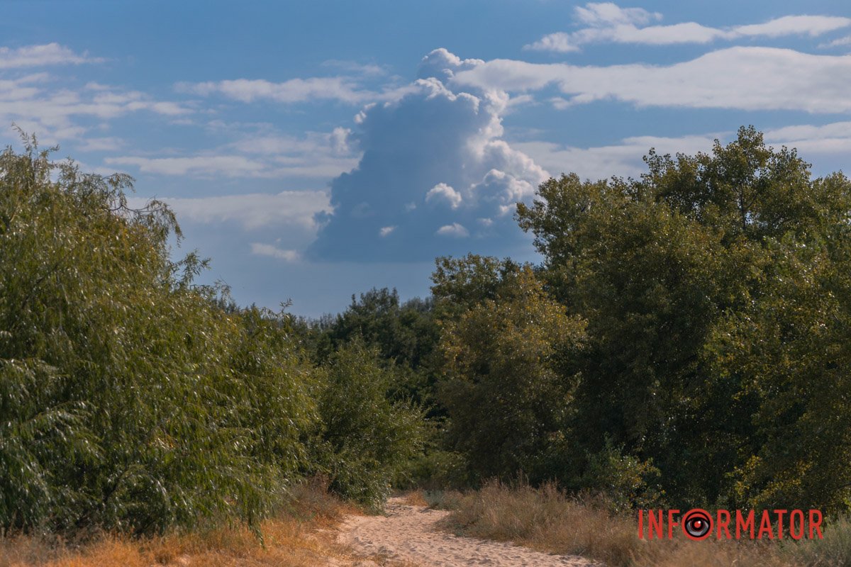А що їм, чорним? Чорним все одно.