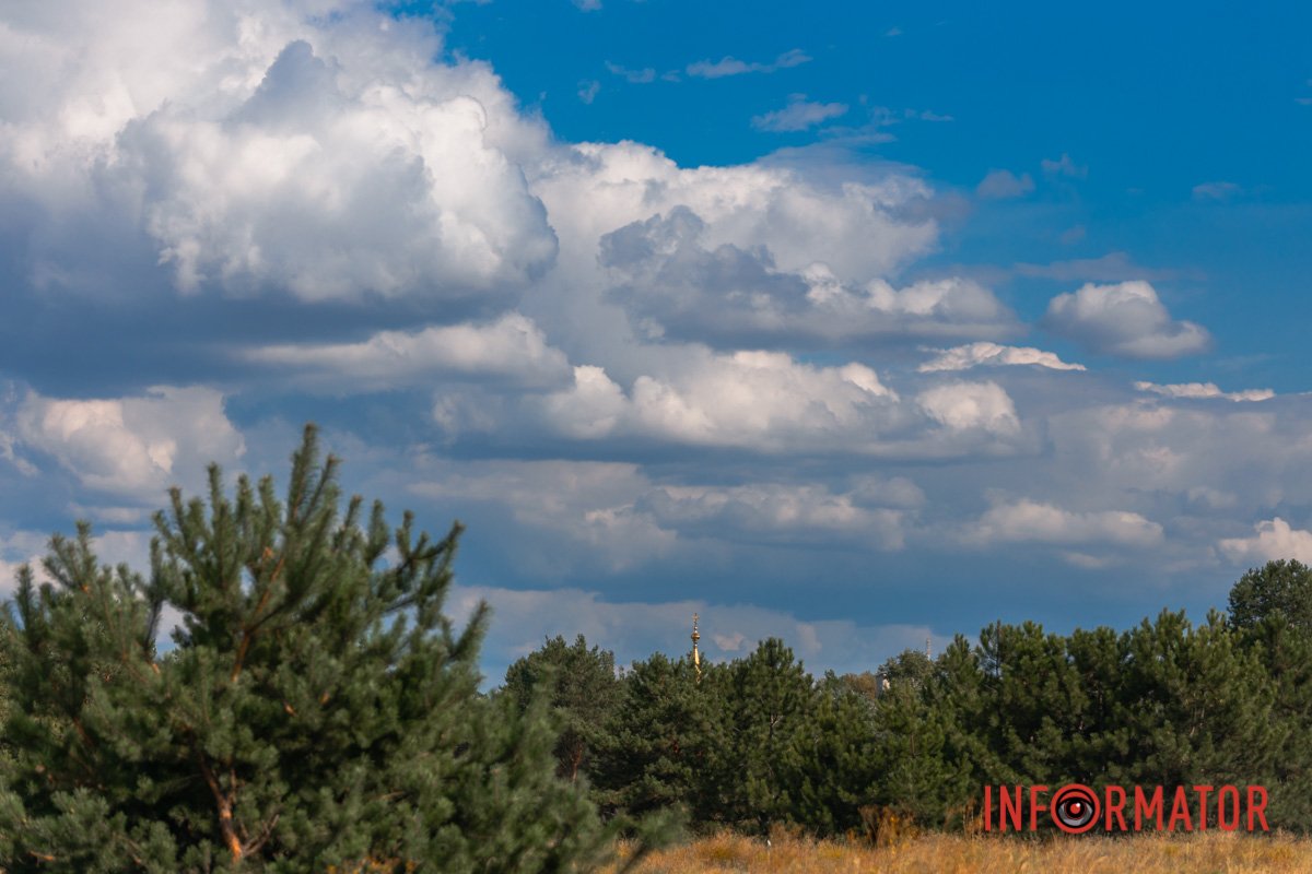 Ми ще побудем, ще не облетим.